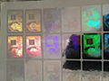 AMEX hologram stickers 1