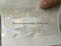 US ID overlay hologram 3