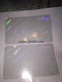 FL overlay holograms 1