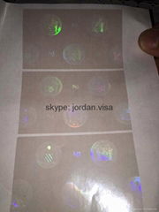 NJ overlay holograms