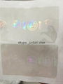 CA overlay holograms 1