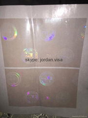 California overlay holograms