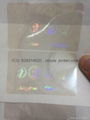 USA CT State ID overlay hologram 1