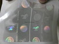 WY state ID  overlay hologram  2