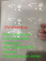 TX OVI Overlay Hologram 2