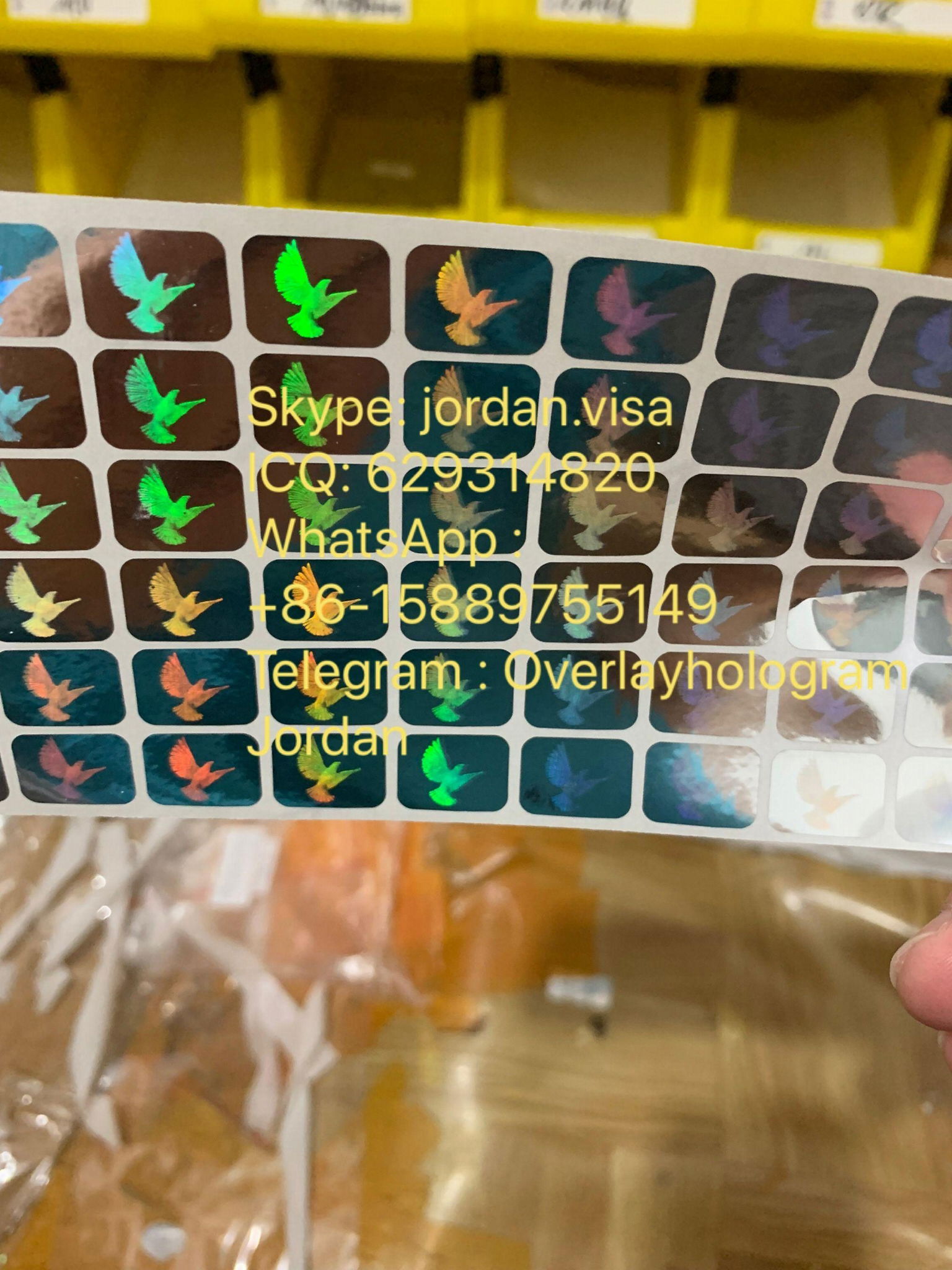 Mini Visa Dove Hologram Silver