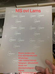 USA Mississippi ID State OVI sheet