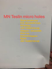 USA Minnesota State Teslin paper micro holes