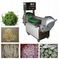 FC-301Vegetable.cutter