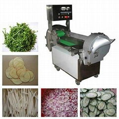 FC-301Vegetable.cutter