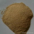 sodium alginate powder 1