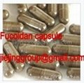 fucoidan 85% for pharmaceuticals and supplement food 2