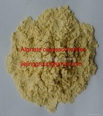 alginate oligosaccharides (low molecular weight alginate)