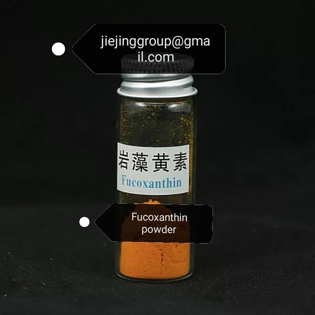 kombu extract fucoxanthin powder 1 JIEJING (China Manufacturer