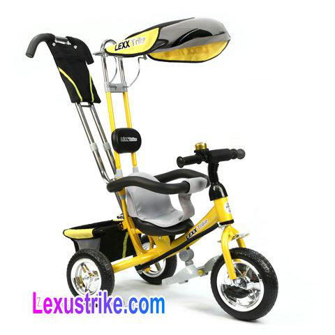 2019 New LEXX Trike 4