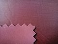 Polyester 70 D / 170 T/PVC raincoat fabric