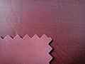 Nylon 70 D / 190 T/PVC raincoat fabric