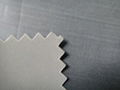 Nylon 70 D / 190 T/PVC raincoat fabric