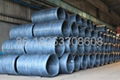 Steel wire rods