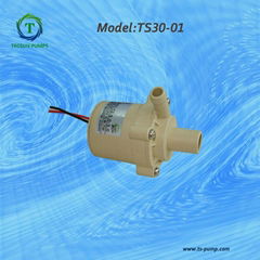 brushless DC pump