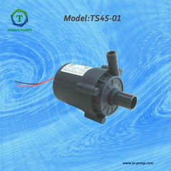 brushless DC pump