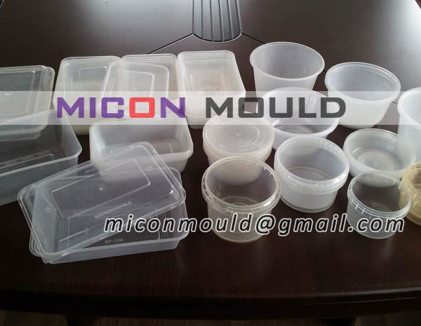 thin wall mould,thin wall mold 5