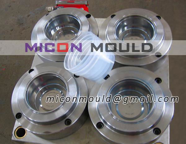 thin wall mould,thin wall mold 3