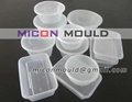 food container mould 5