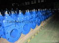 Non-rising stem soft-seated Gate Valve