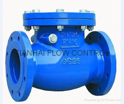 Swing Check Valve