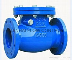 Swing Check Valve