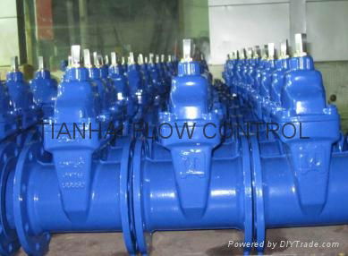 Soft-seated Gate Valve 4