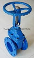 Rising stem Soft-seated Gate Valve 1