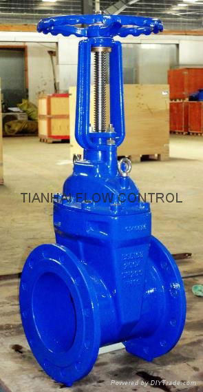 Rising stem Soft-seated Gate Valve 2