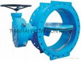 Butterfly Valve