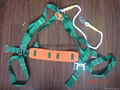 safety harness 4