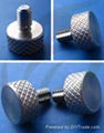 Customed screws