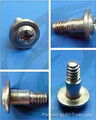 Customed screws 4