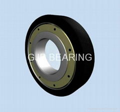 Traction Motor Bearing with Insulating