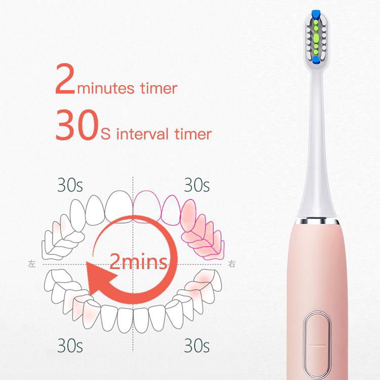 Ce RoHS FCC Waterproof Rechargeable Toothbrush Electronic 2