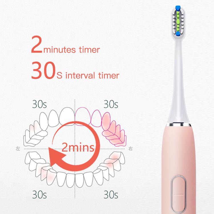 Ce RoHS FCC Waterproof Rechargeable Toothbrush Electronic 2