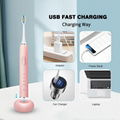 Ce RoHS FCC Waterproof Rechargeable Toothbrush Electronic