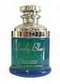 Car Parfum oil  2