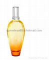 fashion design perfume bottle 2