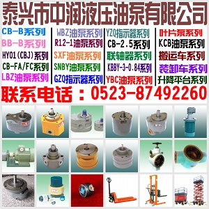 YZQ型油流指标器 3