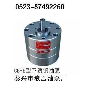 HYOI-100X25油泵 5