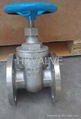 non-rising stem gate valve 1