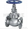 API globe valve 1