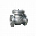 swing check valve 1