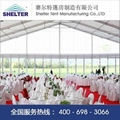 shelter15米婚禮婚慶篷